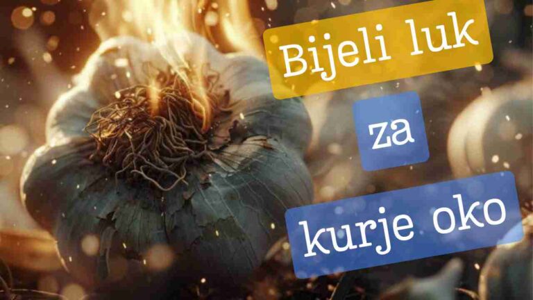 bijeli luk za kurje oko